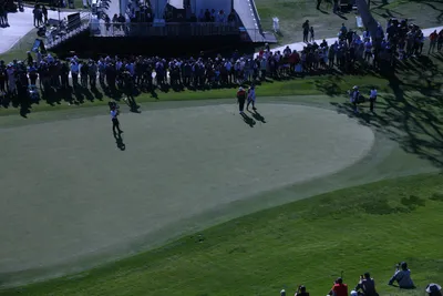 DSC_0738 (Large).JPG